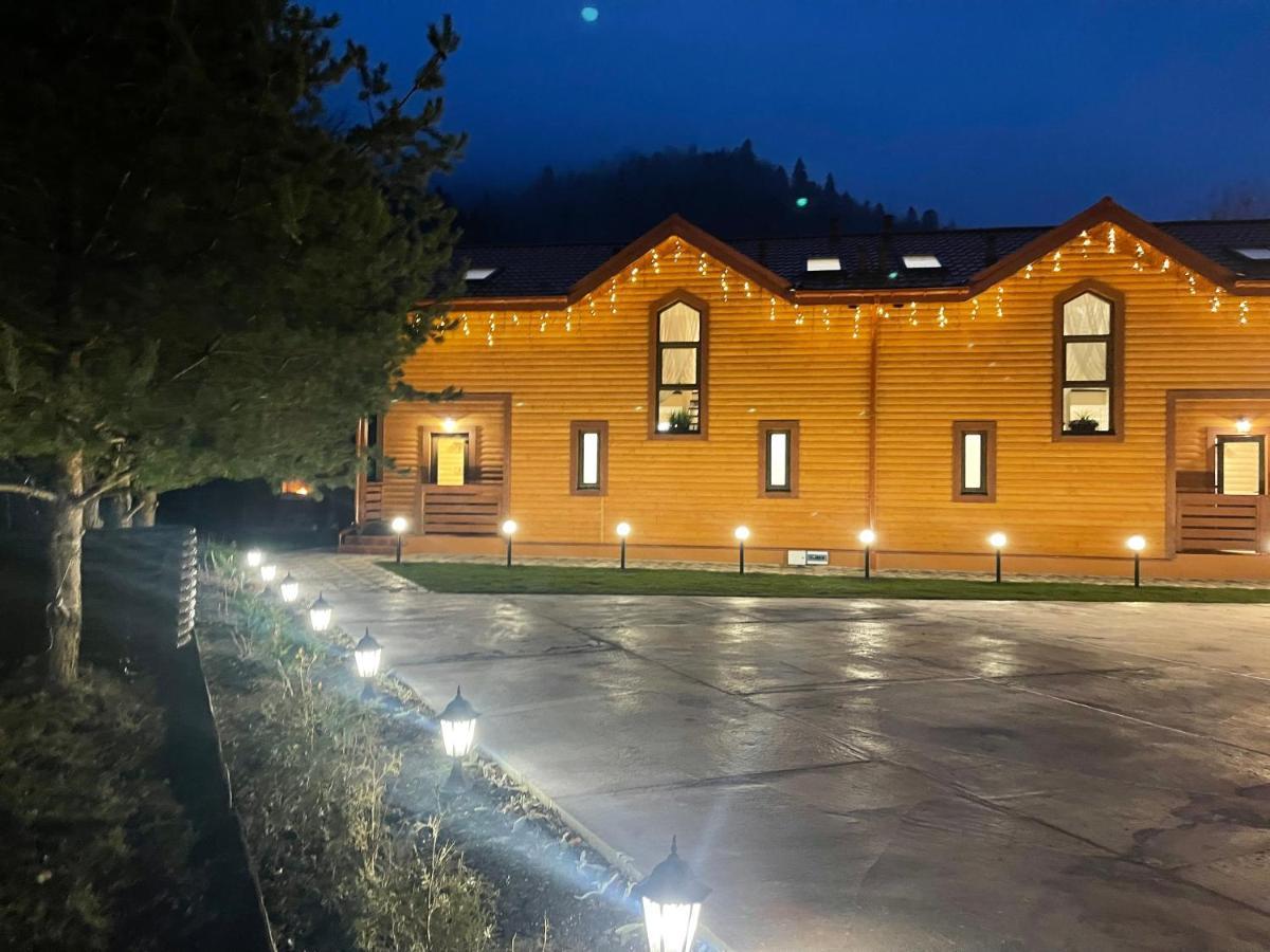 Villa Затишна De Luxe Mykulychyn Bagian luar foto