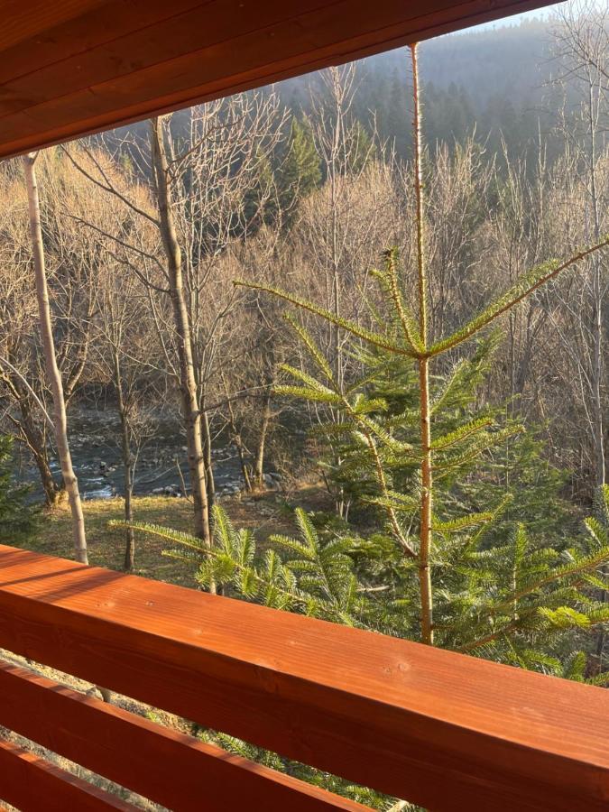 Villa Затишна De Luxe Mykulychyn Bagian luar foto