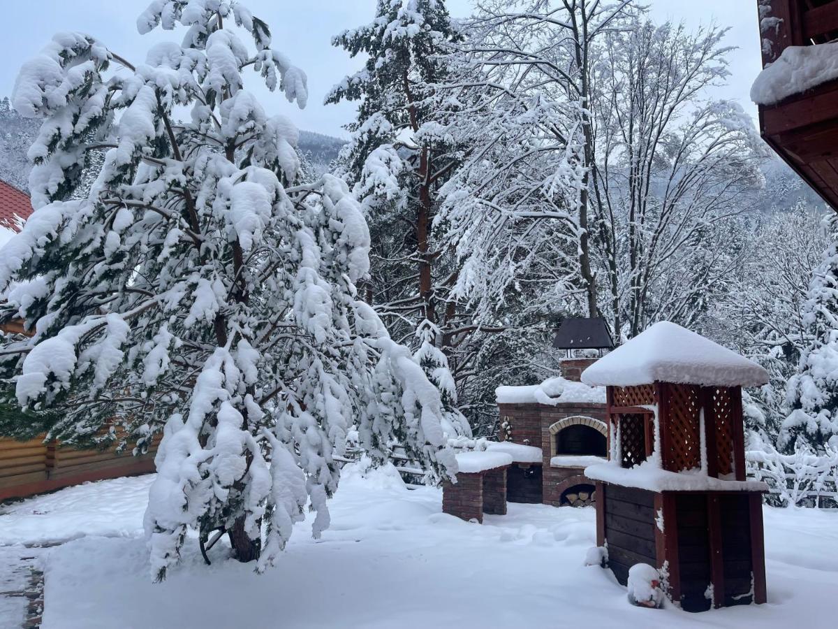 Villa Затишна De Luxe Mykulychyn Bagian luar foto