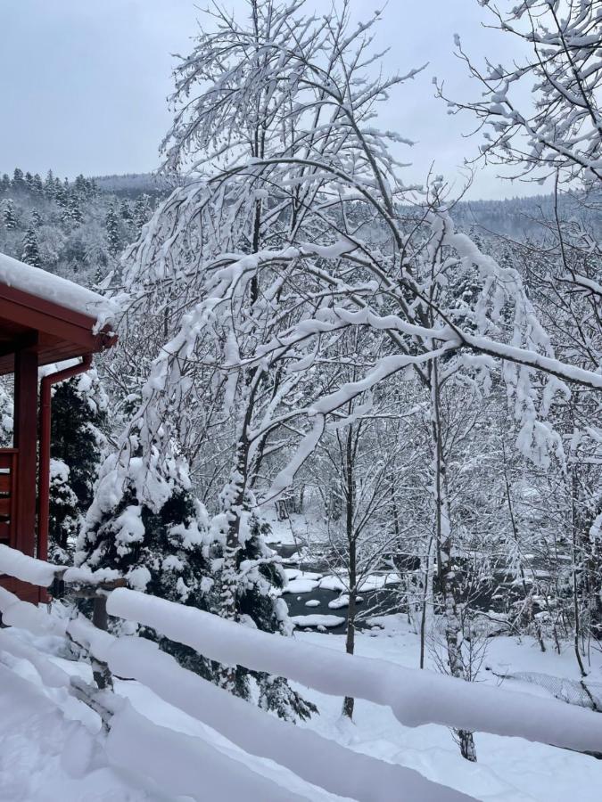 Villa Затишна De Luxe Mykulychyn Bagian luar foto