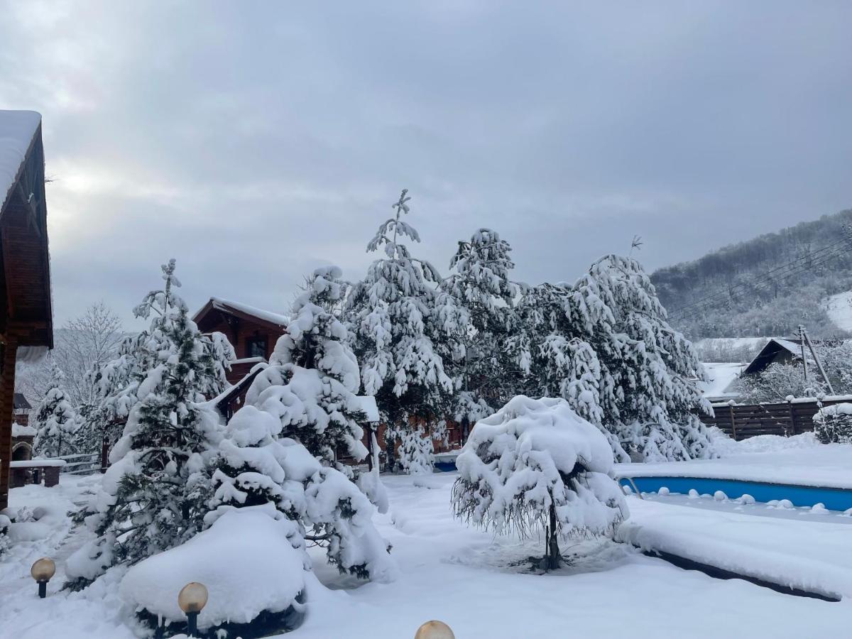 Villa Затишна De Luxe Mykulychyn Bagian luar foto